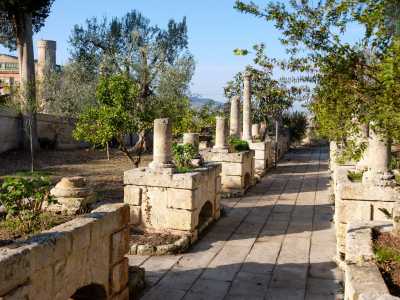 ...che ci conduce in una zona affascinante, caratterizzata da colonne, basamenti, capitelli e zone di sosta in pietra calcarea, il tutto tra alberi di ulivi e piante ben curate 